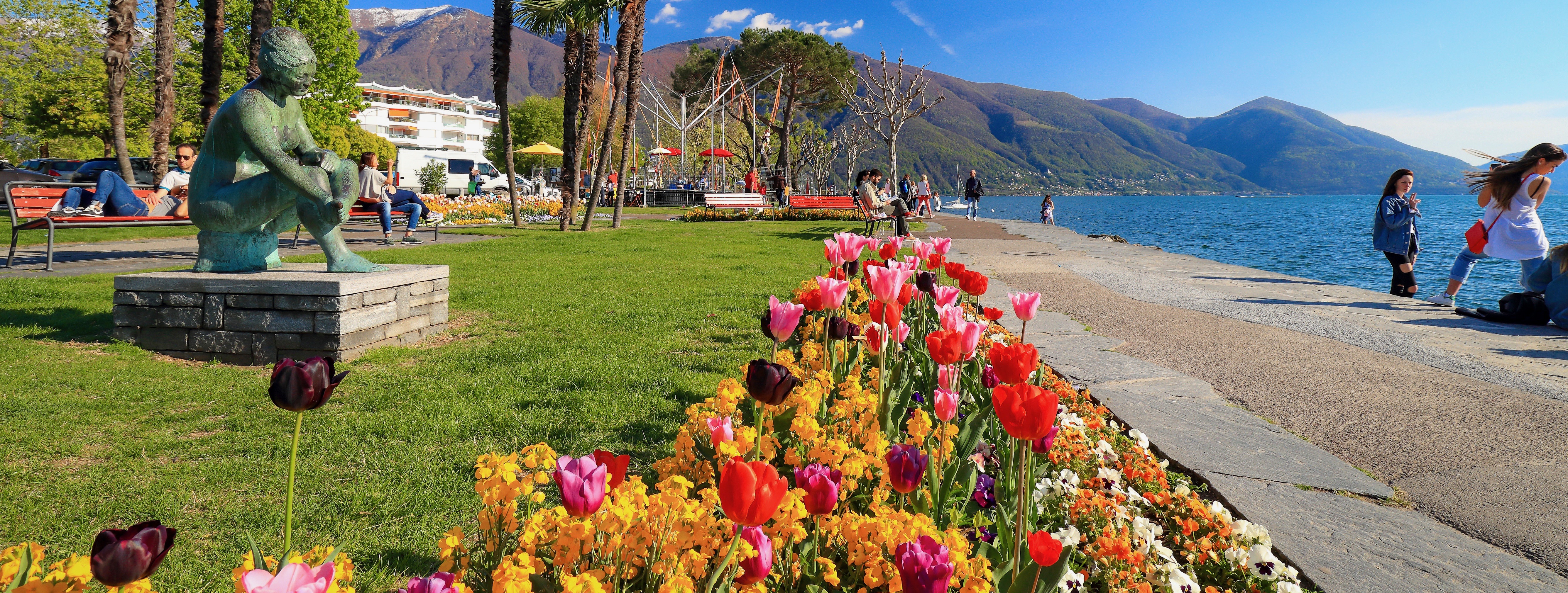 Spring flowers along the Ascona lakeside promenade with mountains and the lake in view